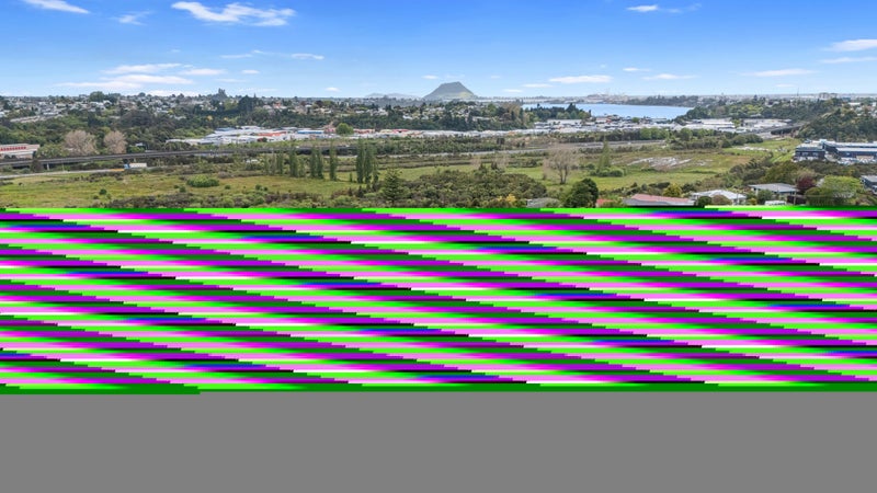 15 Faulkner Street, Gate Pa, Tauranga - Carousel 21