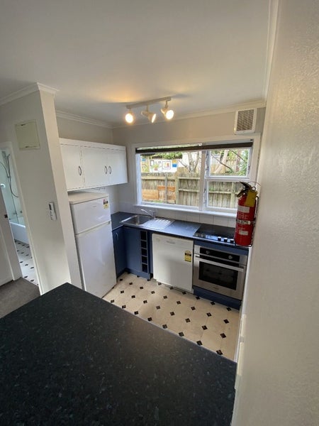 4/185 Daniell Street, Newtown, Wellington, Wellington - Carousel 2