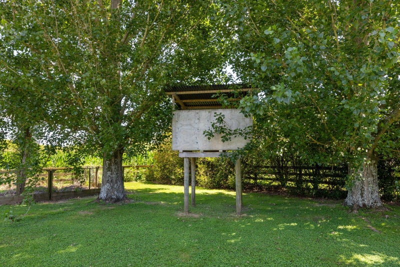 44A Glen Ida Way, Tauwhare, Hamilton - Carousel 39