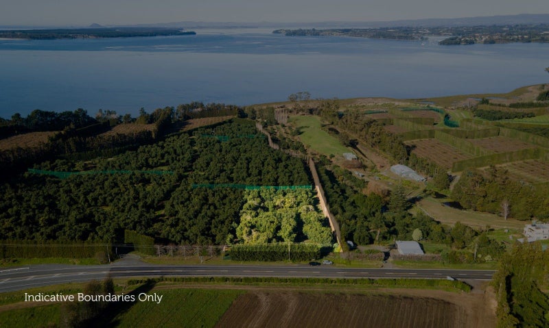 229 Athenree Road, Athenree, Waihi Beach - Carousel 16