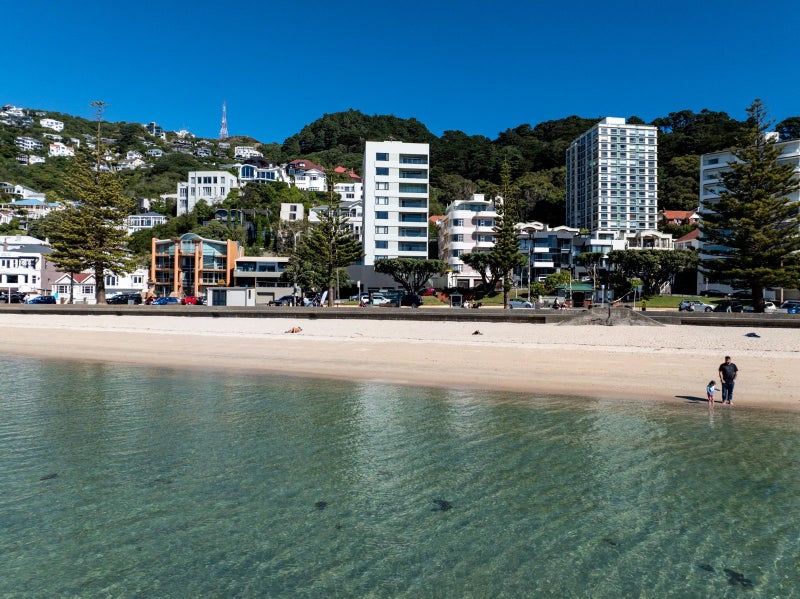 214 Oriental Parade, Oriental Bay, Wellington - Carousel 40