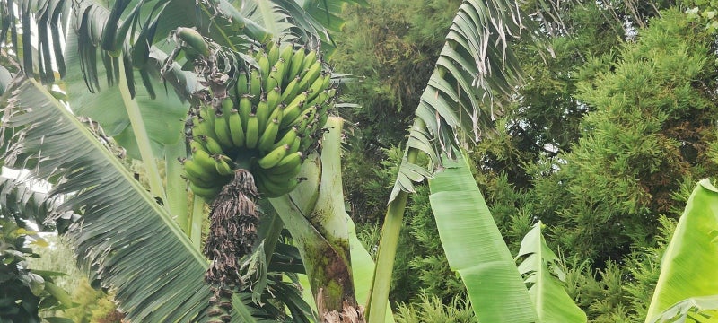 1445 South Road, Kaitake, New Plymouth - Carousel 35