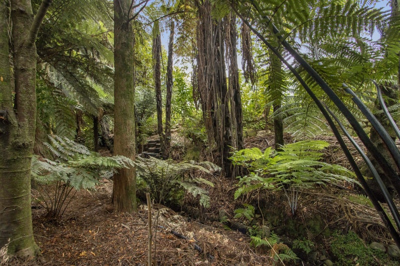 21 Princes Street, Waikino, Waihi - Carousel 25