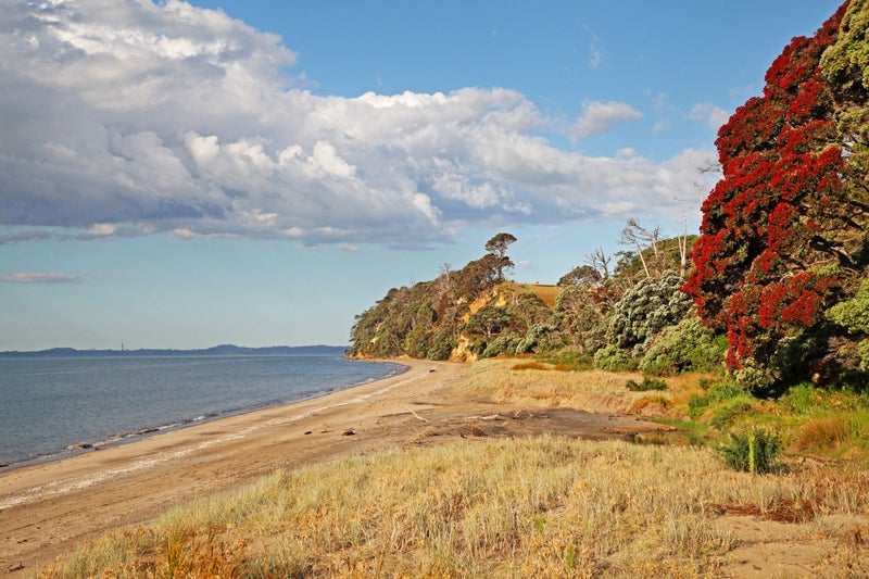 5B Gap Road, Manukau Heads, Āwhitu - Carousel 10