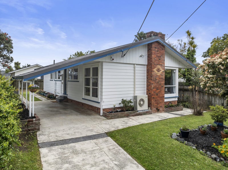 15 Levesque Street, Birkdale, Auckland - Carousel 1