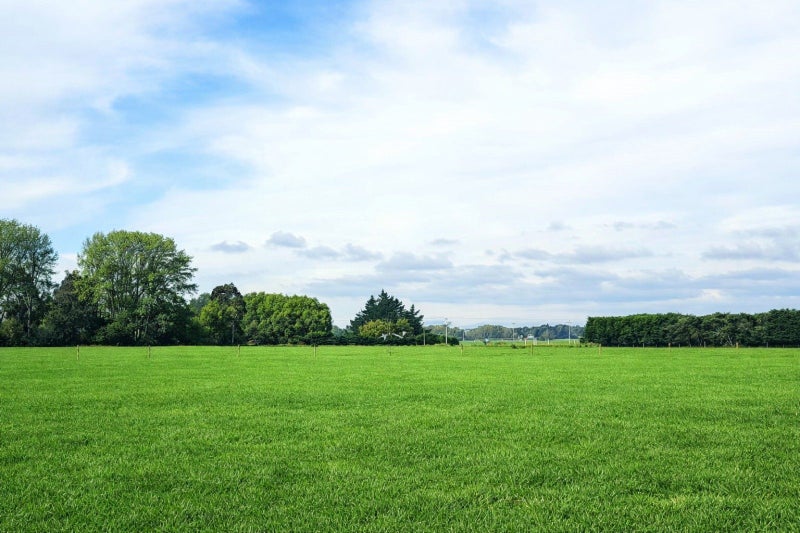 270 Stokes Road, Balcairn, Amberley - Carousel 10