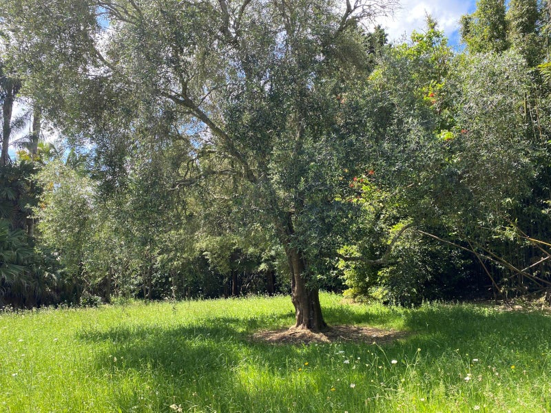 Property Valuation for 322 Horeke Road, Okaihau Trade Me Property