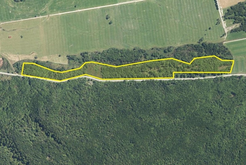 1297 Haupiri Road, Haupiri, Moana - Carousel 13