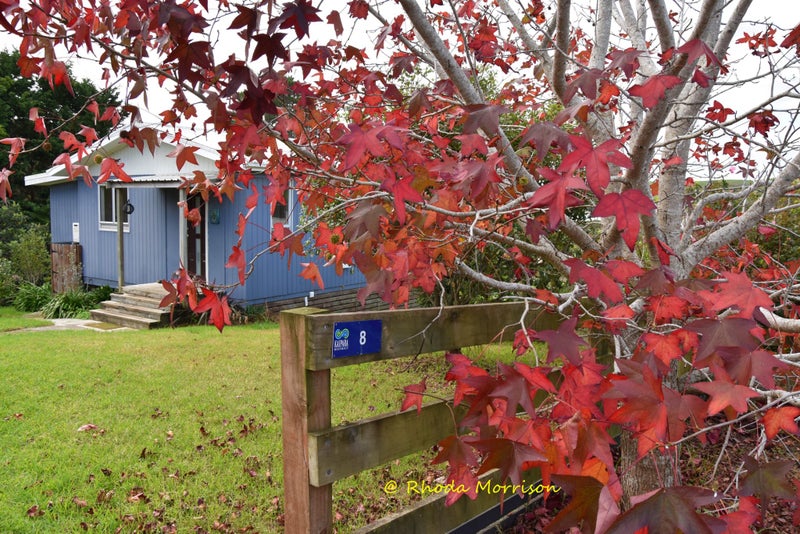 8 Heaths Way, Pahi, Paparoa - Carousel 1