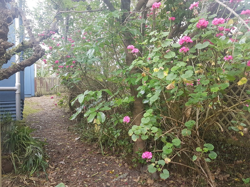 Property Valuation for 16 Arthur Street, Waikawa Beach Trade Me