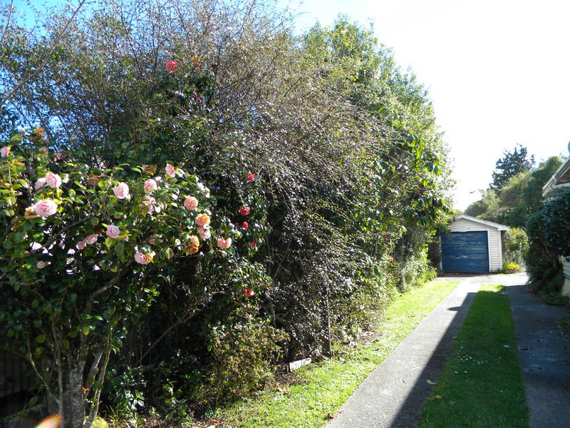 73 Jollie Street, Hokitika - Carousel 2