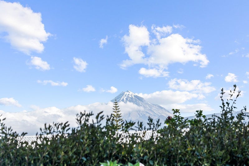 12 Barclay Street, Ferndale, New Plymouth - Carousel 2