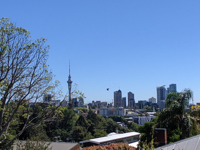 8/3 Birdwood Crescent, Parnell, Auckland City, Auckland - Carousel 1