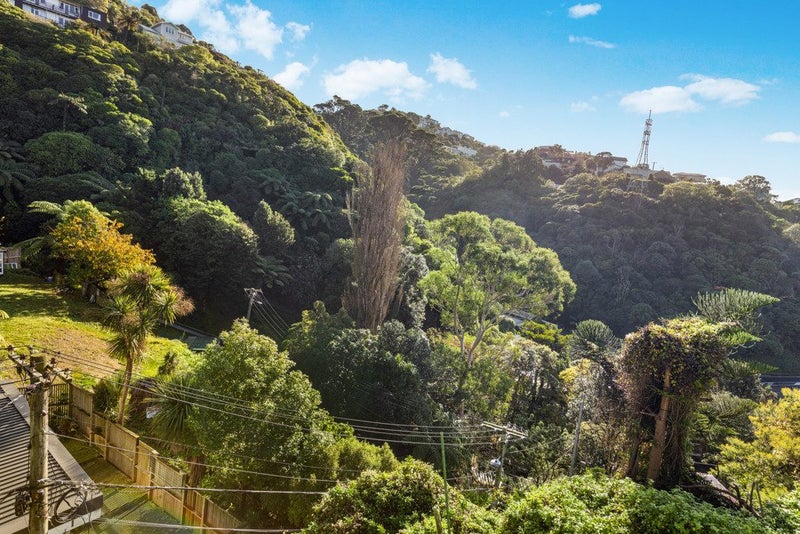 12 Mount Pleasant Road, Aro Valley, Wellington - Carousel 20