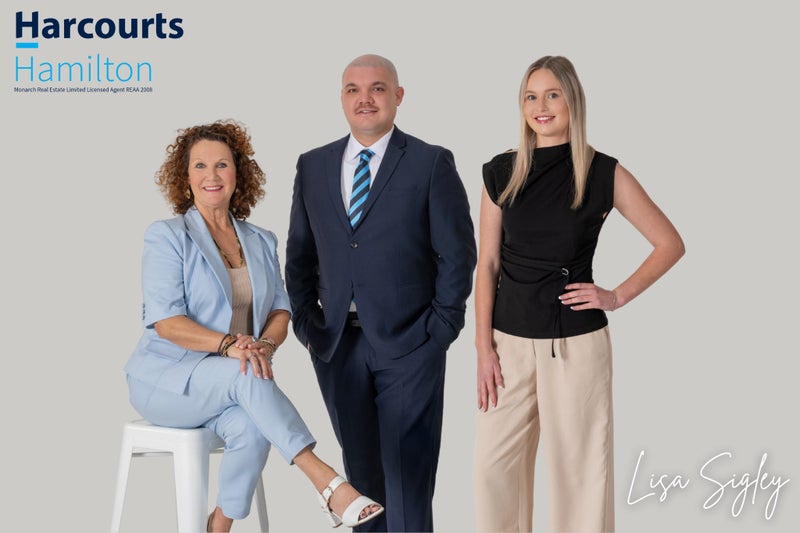 12 David Street, Nawton, Hamilton - Carousel 22