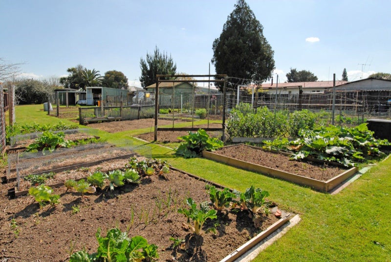 19 Kingfisher Way, Te Kowhai, Hamilton - Carousel 26