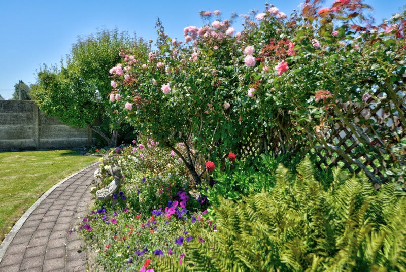 16 Oakland Street, Mataura, Mataura - Carousel 32