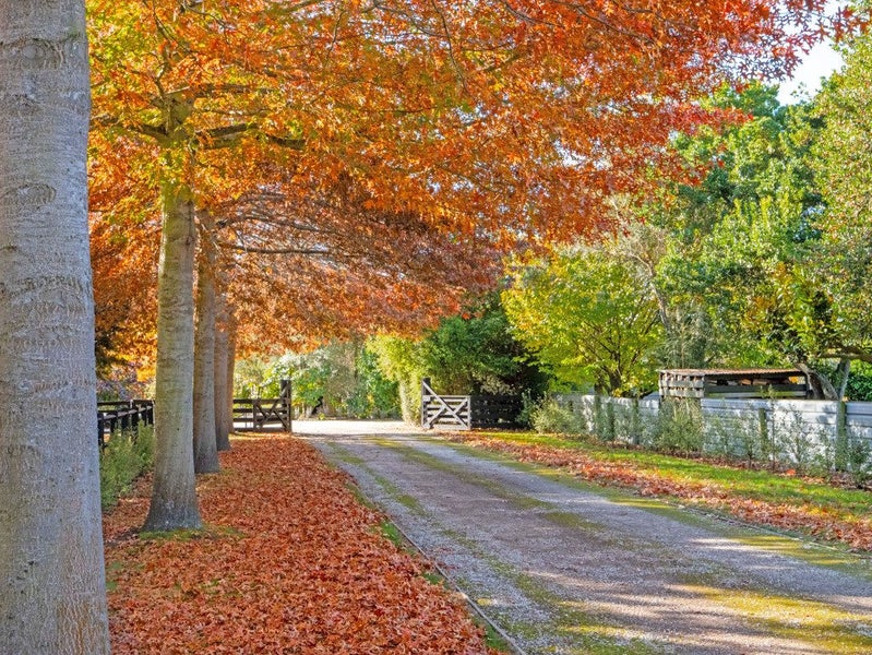 106 Mill Road, Clarkville, Kaiapoi - Carousel 38