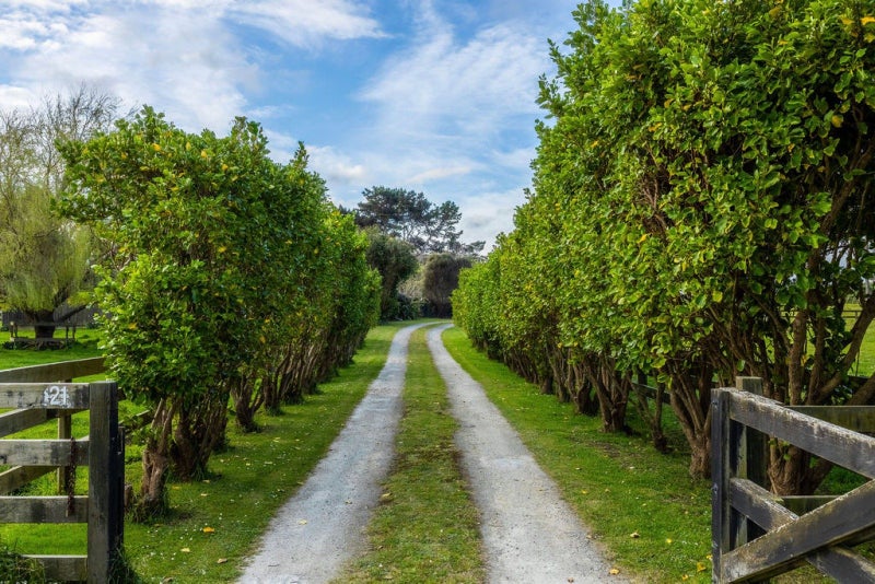 21 Glenn Street, Castlecliff, Whanganui - Carousel 2