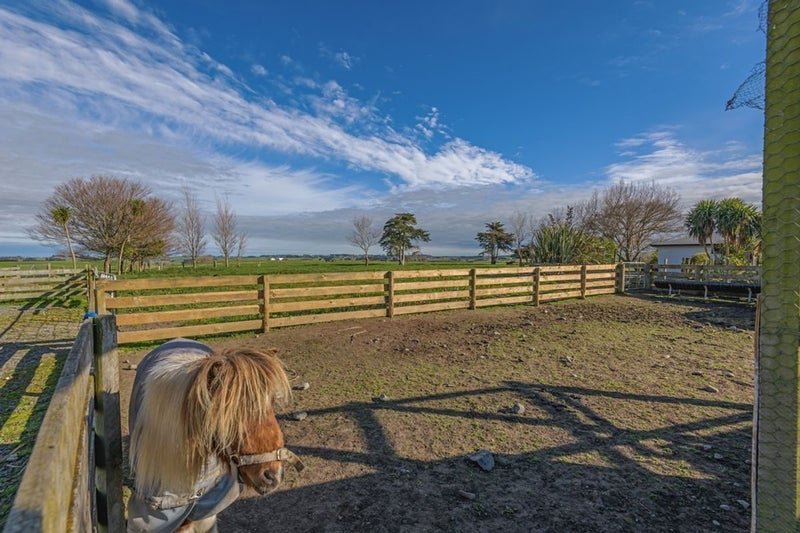 375 Lethbridge Road, Feilding, Feilding - Carousel 29