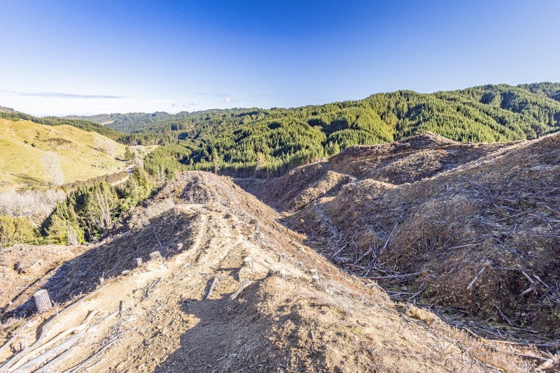 0 Oio Rd, Owhango - Carousel 1