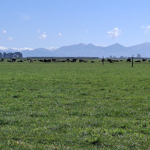 76 Rangitata Huts Road, Clandeboye, Temuka - Carousel 14