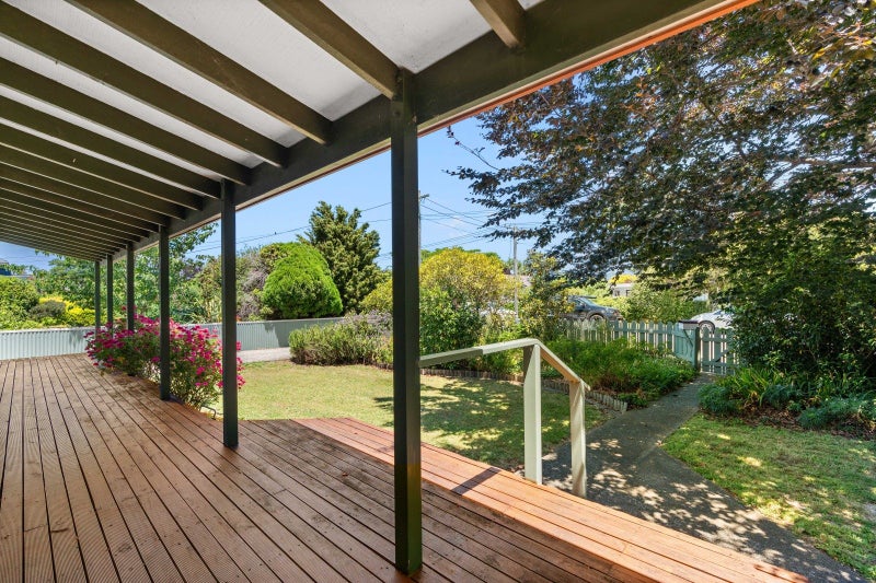 9 Venice Street, Martinborough - Carousel 21