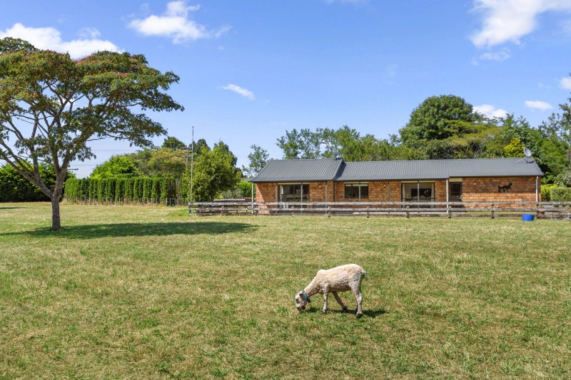 11A Higginson Road, Hamilton - Carousel 2