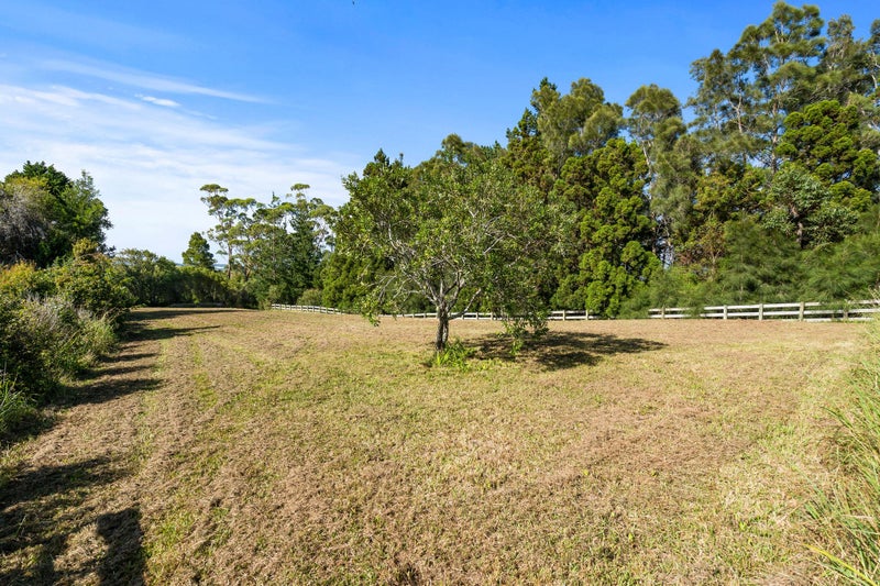 343 HEWLETT RD, MATA, WHANGAREI - Carousel 24