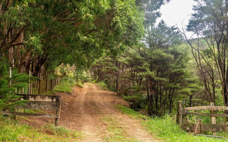 222 Newton Road, OMAPERE, KAIKOHE - Carousel 10