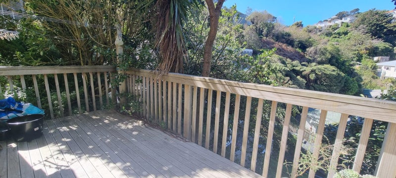 58C Norway St (Bot), Aro Valley, Wellington, Wellington - Carousel 11