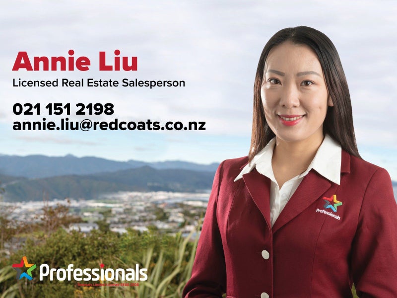28 Lincoln Avenue, Tawa, Wellington - Carousel 19