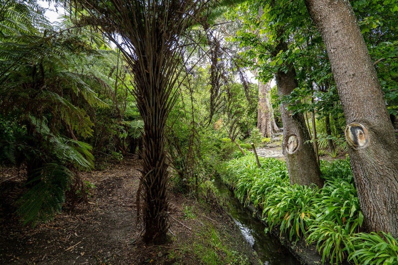 36 Hawford Road, Opawa, Christchurch - Carousel 21