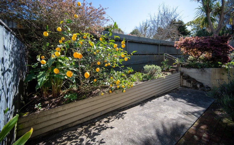 3/215A Hampden Terrace, Nelson South, Nelson - Carousel 21