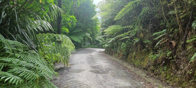 102 Kuku East Road, Levin - Carousel 36