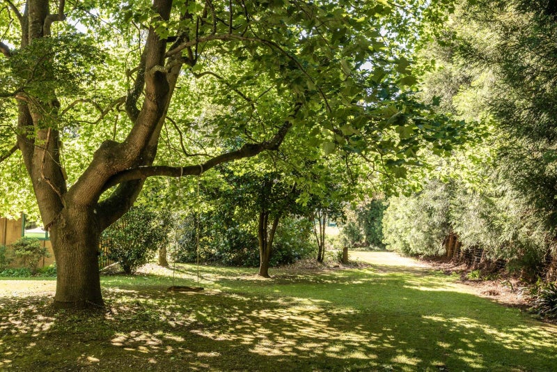 6 Sedgemoor Lane, RD 2, Katikati, Western Bay Of Plenty, Bay Of Plenty - Carousel 2