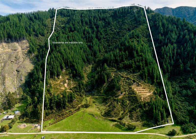 Property Valuation for 895 Waikakaho Road, Tuamarina, Marlborough