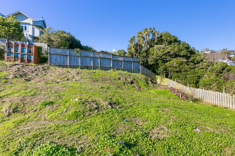 74 Curtis Street, Northland, Wellington - Carousel 1