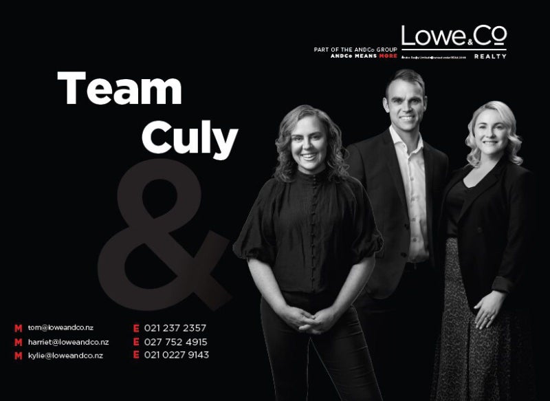 32 Farnham Street, Mornington, Wellington - Carousel 17