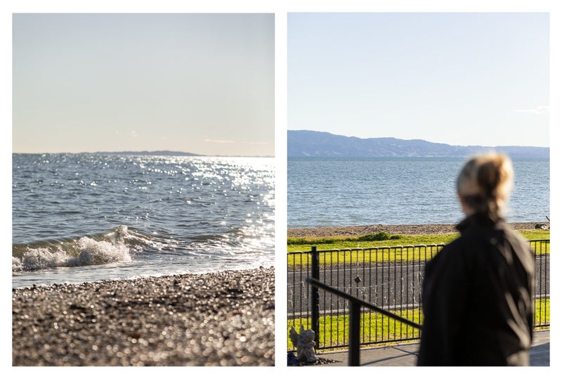 882 Thames Coast Sh25 Road, TE MATA, THAMES - Carousel 25