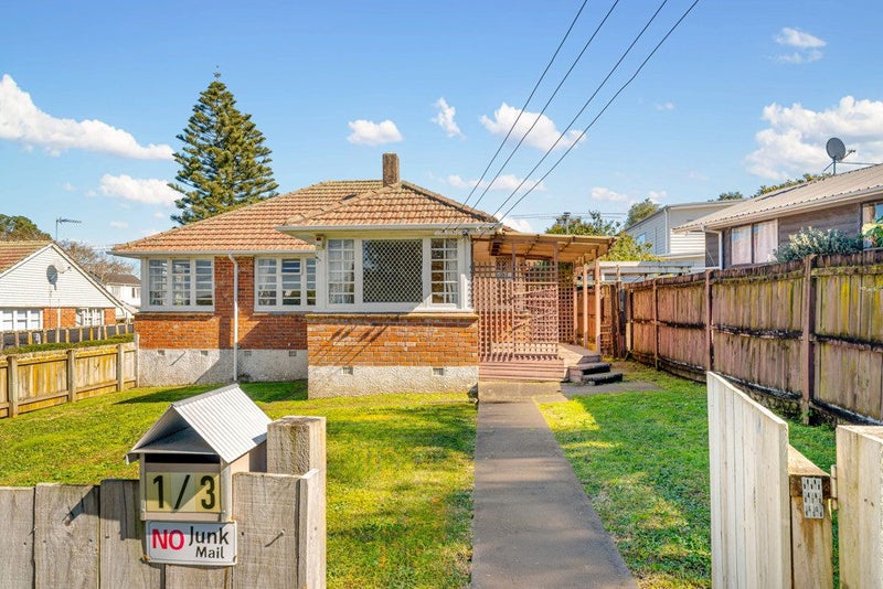 1/3 Hallam Street, Owairaka, Auckland - Carousel 1