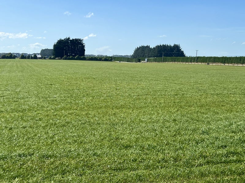 74 Turkey Bush Road, BRANXHOLME, INVERCARGILL - Carousel 1