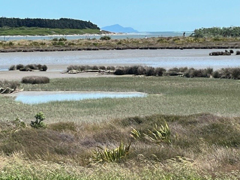 7 Carter Crescent, Foxton Beach, Foxton - Carousel 11