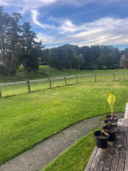 94 Clevedon-Takanini Road, Clevedon, Papakura - Carousel 2