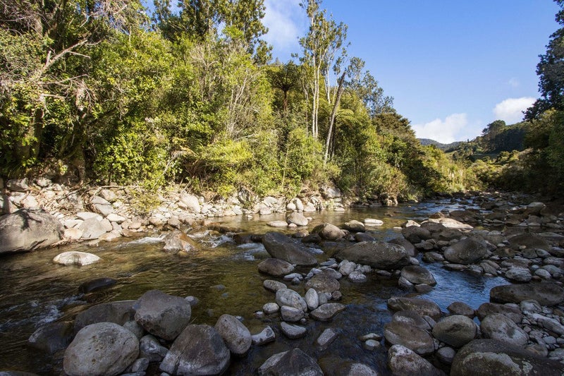 393A Wharawhara Road, Tahawai, Tahawai - Carousel 1