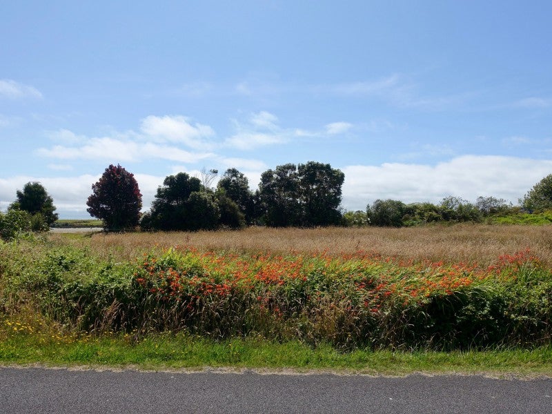 Property Valuation for 67 Glasseye Drive, Little Wanganui Trade Me