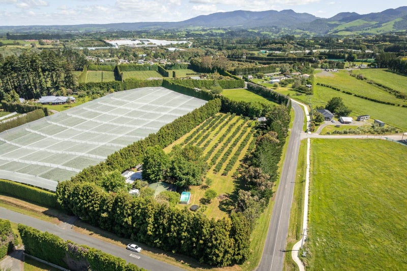 6 Sedgemoor Lane, RD 2, Katikati, Western Bay Of Plenty, Bay Of Plenty - Carousel 1