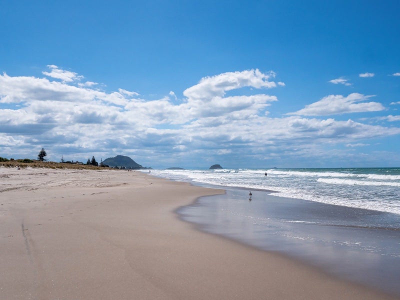39 Farm Street, Mount Maunganui, Mount Maunganui - Carousel 17