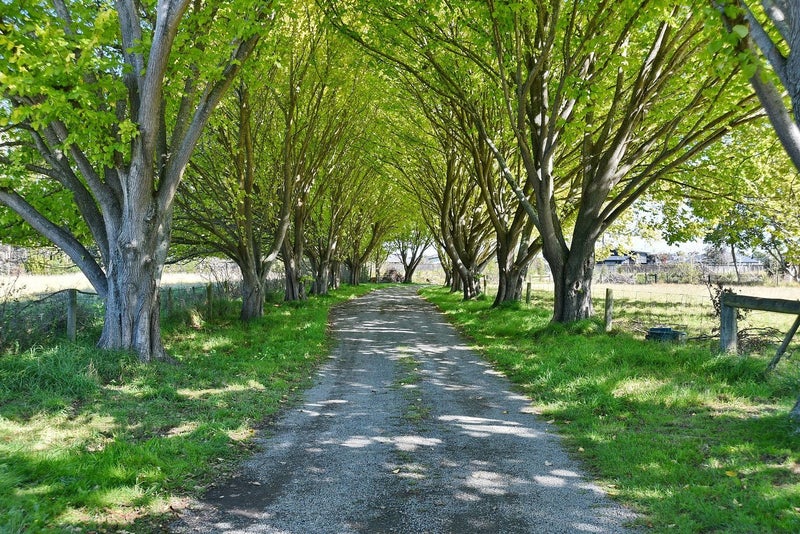 230 Lees Road, Kaiapoi, Kaiapoi - Carousel 1