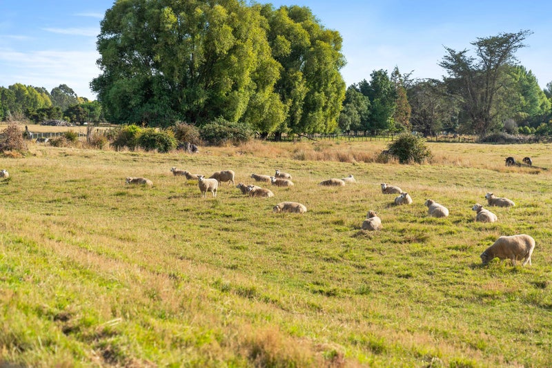 243C Manaia Road, Homebush, Masterton - Carousel 25